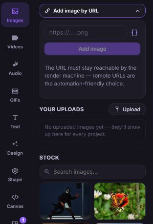 Zvid Images panel with Add image by URL expanded, its URL field, and Add image button.