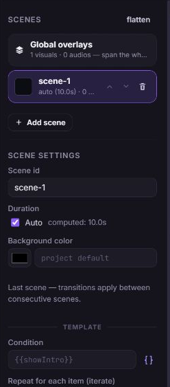 Zvid Scenes panel showing Global overlays and the Add scene control used to organize a video into scenes.