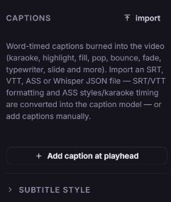 Zvid Subtitles panel showing the Captions import action and Add caption at playhead control.